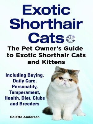 cover image of Exotic Shorthair Cats the Pet Owner's Guide to Exotic Shorthair Cats and Kittens Including Buying, Daily Care, Personality, Temperament, Health, Diet, Clubs and Breeders